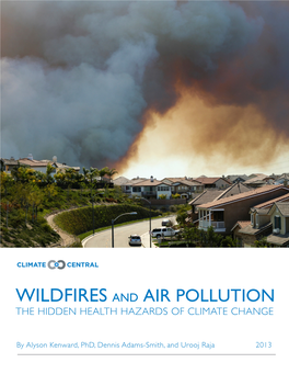 Wildfires and Air Pollution the Hidden Health Hazards of Climate Change