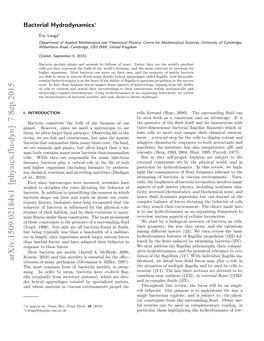 Bacterial Hydrodynamics∗