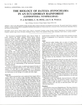 The Biology of Batesia Hypochlora in an Ecuadorian Rainforest (Lepidoptera: Nymphalidae) P