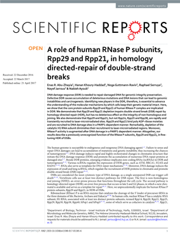 A Role of Human Rnase P Subunits, Rpp29 and Rpp21, in Homology