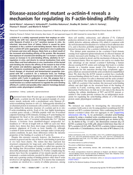 Actinin-4 Reveals a Mechanism for Regulating Its F-Actin-Binding Affinity