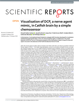 Visualisation of DCP, a Nerve Agent Mimic, in Catfish Brain by a Simple