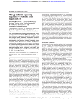 Wnt/ß-Catenin Signaling Regulates Vertebrate Limb Regeneration