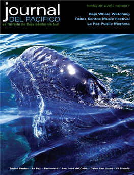 Whale Watching Jdel Pacifico Todos Santos Music Festival La Revista De Baja California Sur La Paz Public Markets