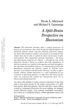 A Split-Brain Perspective on Illusionism