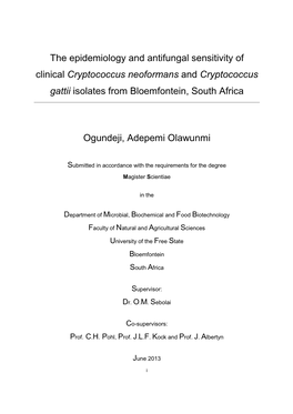 Ogundeji Adepemi Msc Thesis