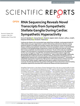 RNA Sequencing Reveals Novel Transcripts from Sympathetic