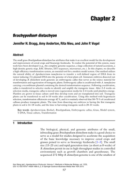 Brachypodium Distachyon Transformation Protocol