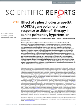 Gene Polymorphism on Response to Sildenafil Therapy In