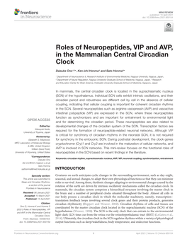 Roles of Neuropeptides, VIP and AVP, in the Mammalian Central Circadian Clock