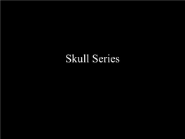 Skull Series Cranial Cavity Skull - Frontal and Lateral View 3D Skull AP