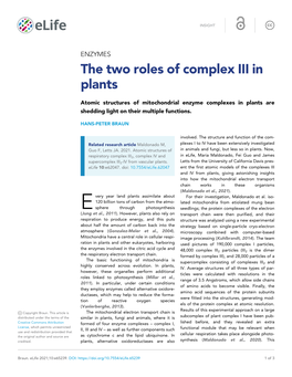 The Two Roles of Complex III in Plants