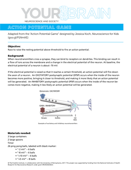 Adapted from the “Action Potential Game” Designed by Jessica Koch, Neuroscience for Kids (Goo.Gl/P1nmke)