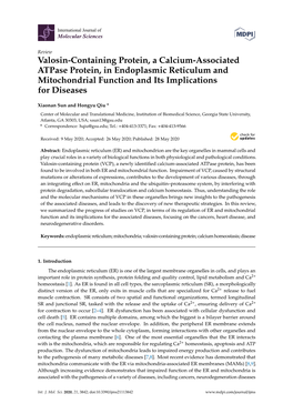 Valosin-Containing Protein, a Calcium-Associated Atpase Protein, in Endoplasmic Reticulum and Mitochondrial Function and Its Implications for Diseases