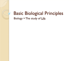 1 Basic Biological Principles.Pdf