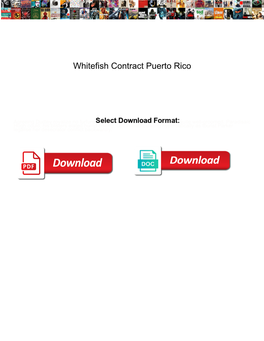 Whitefish Contract Puerto Rico