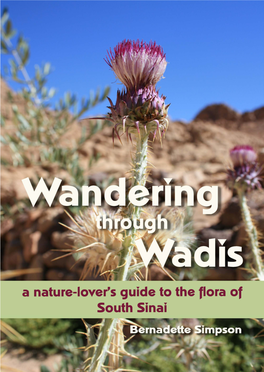 Wandering Through Wadis Ebook SAMPLE
