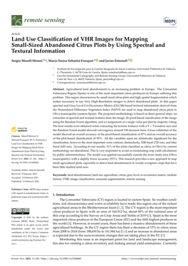 Land Use Classification of VHR Images for Mapping Small-Sized Abandoned Citrus Plots by Using Spectral and Textural Information