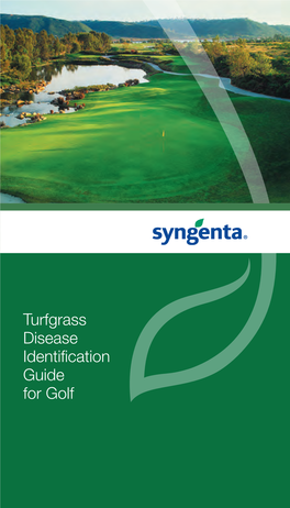 Turfgrass Disease Identification Guide for Golf TABLE of CONTENTS