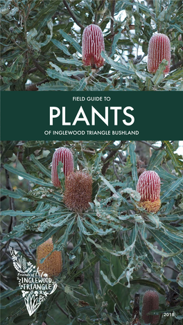 Field Guide to of Inglewood Triangle Bushland