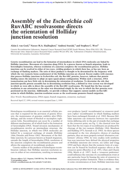 Assembly of the Escherichia Coli Ruvabc Resolvasome Directs the Orientation of Holliday Junction Resolution