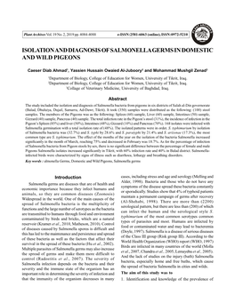 Isolation and Diagnosis of Salmonella Germs in Domestic and Wild Pigeons