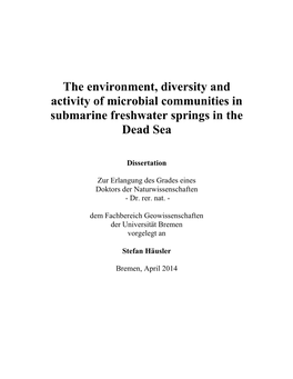 The Environment, Diversity and Activity of Microbial Communities in Submarine Freshwater Springs in the Dead Sea