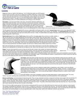 Loons: Wildlife Notebook Series