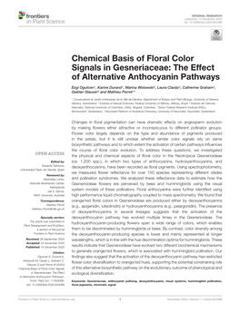 Chemical Basis of Floral Color Signals in Gesneriaceae: the Effect of Alternative Anthocyanin Pathways