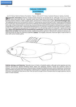 Suborder GOBIOIDEI ELEOTRIDAE Sleepers by E.O