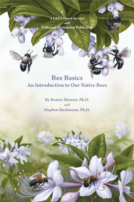 (Native) Bee Basics