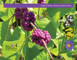 Native Plants of the Northern Neck