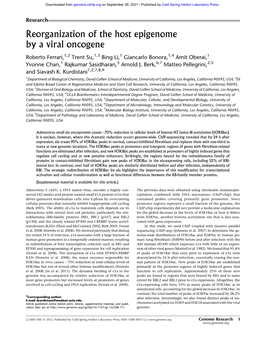 Reorganization of the Host Epigenome by a Viral Oncogene