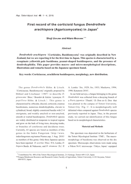 First Record of the Corticioid Fungus Dendrothele Arachispora (Agaricomycetes) in Japan＊