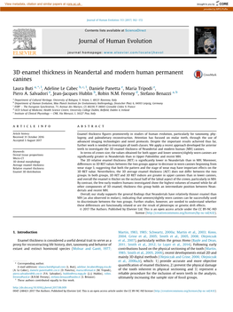 3D Enamel Thickness in Neandertal and Modern Human Permanent Canines