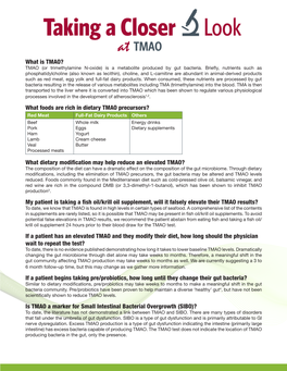 What Foods Are Rich in Dietary TMAO Precursors?