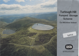 Turlough Hill Pumped Storage Scheme Co