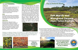 Salt Marsh and Mangrove Swamp