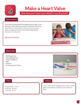 Make a Heart Valve How Does Your Heart Move Blood in One Direction?