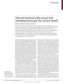 How Do Bacterial Cells Ensure That Metalloproteins Get the Correct Metal?