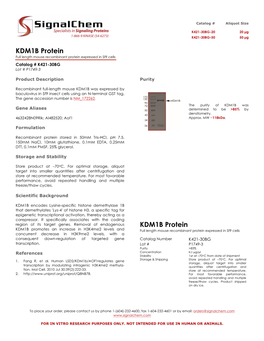 KDM1B Protein Full Length Mouse Recombinant Protein Expressed in Sf9 Cells