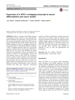 Expression of a SOX1 Overlapping Transcript in Neural Differentiation and Cancer Models