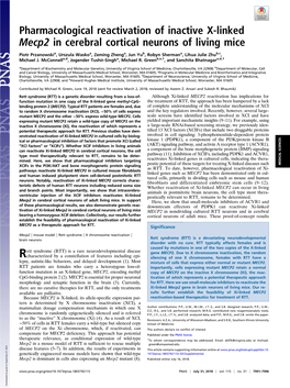 Pharmacological Reactivation of Inactive X-Linked Mecp2 in Cerebral Cortical Neurons of Living Mice