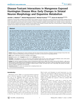 Early Changes in Striatal Neuron Morphology and Dopamine Metabolism