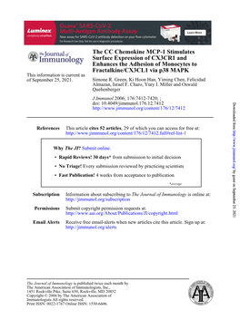 Fractalkine/CX3CL1 Via P38 MAPK Enhances the Adhesion Of