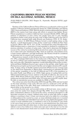 California Brown Pelican Nesting on Isla Alcatraz, Sonora, Mexico Juan Pablo Galván, 3411 Rutgers St., Hyattsville, Maryland 20783; Jpgal- Van9@Gmail.Com