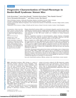 Progressive Characterization of Visual Phenotype in Bardet-Biedl Syndrome Mutant Mice