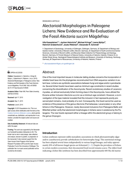 Alectorioid Morphologies in Paleogene Lichens: New Evidence and Re-Evaluation of the Fossil Alectoria Succini Mägdefrau