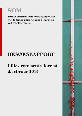 Lillestrøm Sentralarrest Besøksrapport 2015