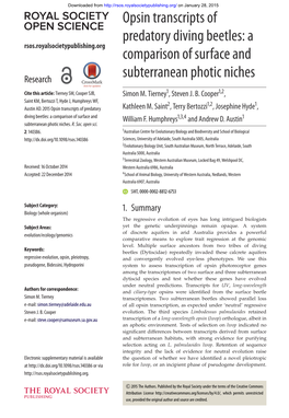 Opsin Transcripts of Predatory Diving Beetles: a Comparison of Surface